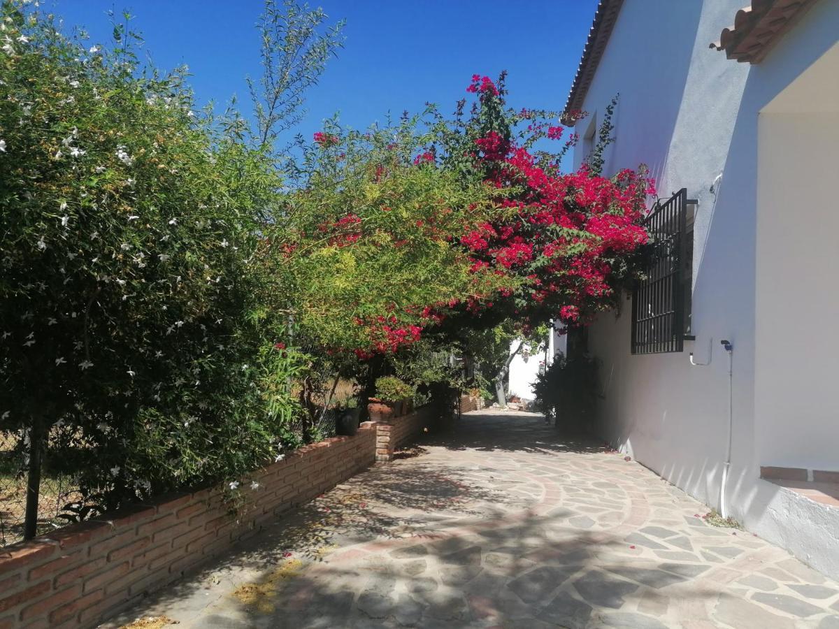 فيلا Casa Luis Viñuela المظهر الخارجي الصورة
